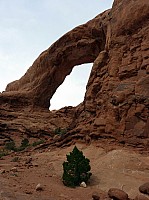 Arches Windows Arches (14).JPG